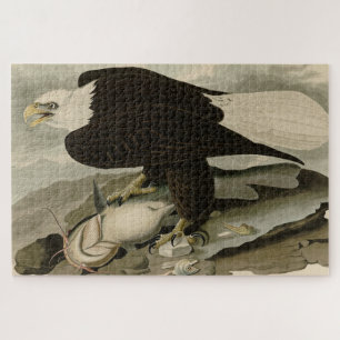 Puzzle White-headed (Bald Eagle) Audubon Birds of America