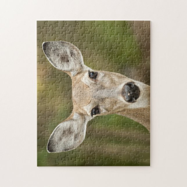 Puzzle White Tailed (Vertical)