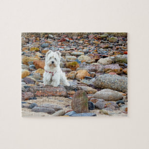 Puzzle White Terrier de West Highland