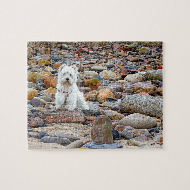 Puzzle White Terrier de West Highland (Horizontal)