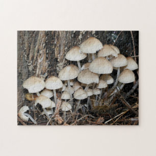 Puzzle White Wild Mushroom Cluster Nature 