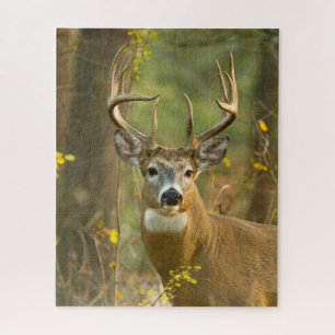 Puzzle Whitetail Deer Buck Whitefish, Montana