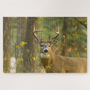 Puzzle Whitetail Deer Buck   Whitefish, Montana
