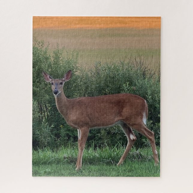 Puzzle Whitetail Deer Doe Hayfield au coucher du soleil d (Vertical)