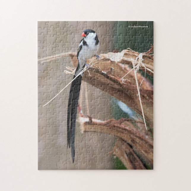 Puzzle Whydah Songbird à queue épaisse (Vertical)