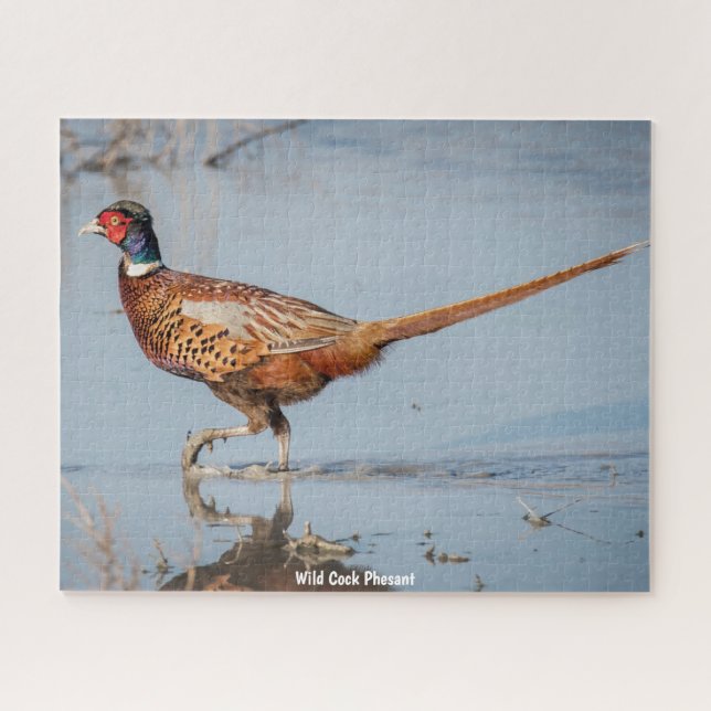 Puzzle Wild Phesant (Horizontal)