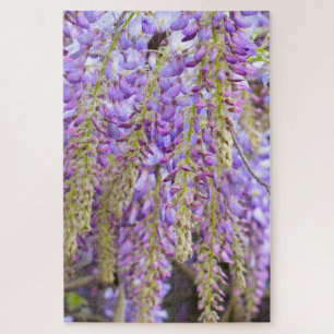Puzzle Wisteria Violet Floral Blossom Tree Violet