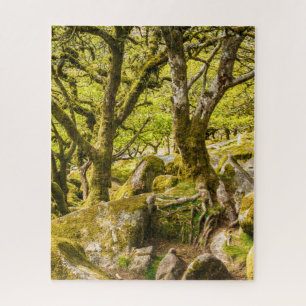 Puzzle Wistman's Wood Dartmoor Devon Angleterre UK