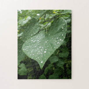Puzzle with Green Leaf and Raindrops