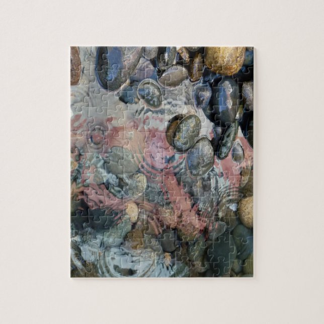 puzzle with water reflections and rocks (Vertical)