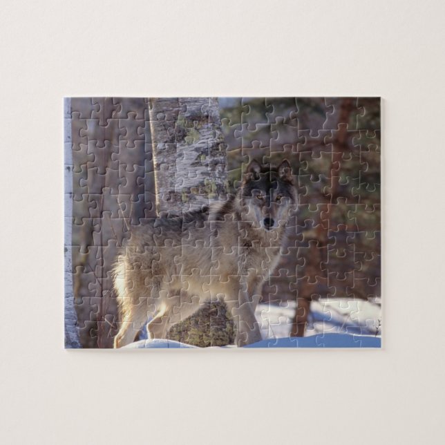Puzzle Wolf (Horizontal)