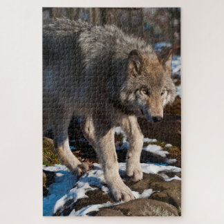 Puzzle Wolf Jigsaw