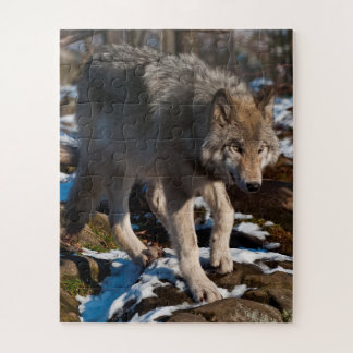 Puzzle Wolf Jigsaw