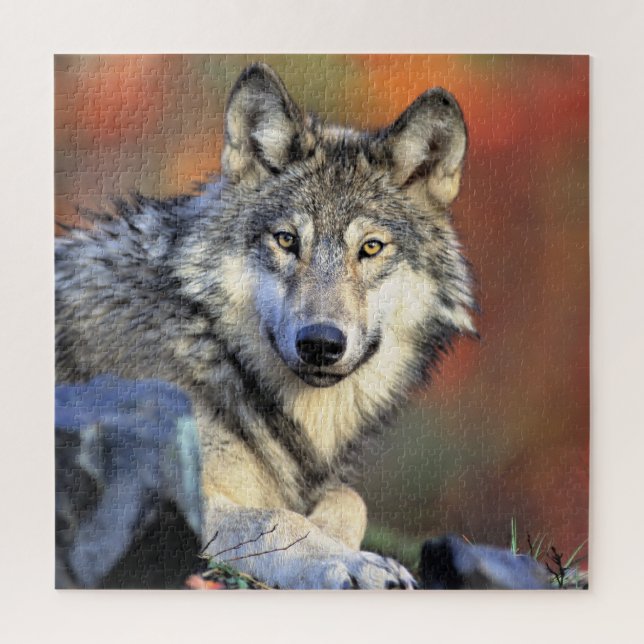 Puzzle Wolf Portrait (Vertical)