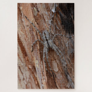 Puzzle Wolf Spider