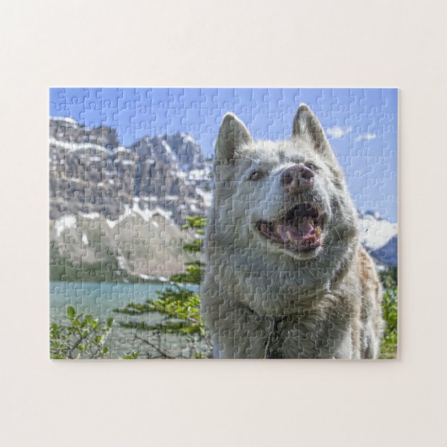 Puzzle Wolf Wild Life Canada. (Horizontal)