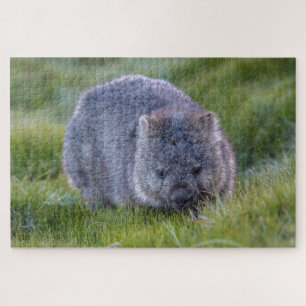 Puzzle Wombat Extraordinaire dans l'Herbe Australie, 1014
