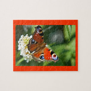 Puzzle Wonder IV