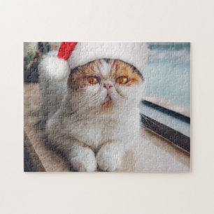 Puzzle Wonderful persian cat with Santa Claus