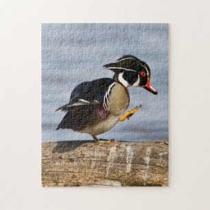 Puzzle Wood Duck