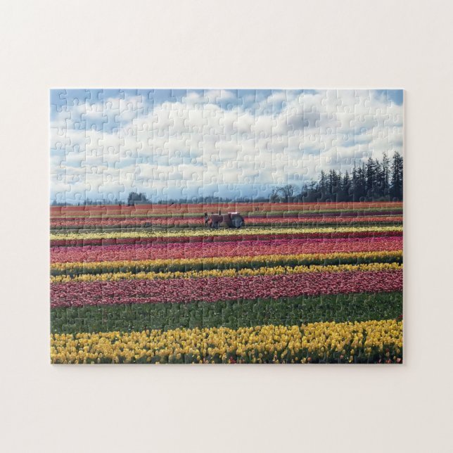 Puzzle Wooden Shoe Tulip Farm, Woodburn, Oregon (Horizontal)