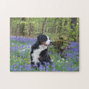 Puzzle Woodland de printemps de Bernese Mountain Dog