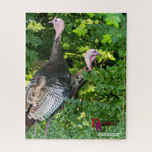 Puzzle "Woodland Watch : Duo de Turquie sauvage"