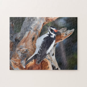 Puzzle "Woody Woodpecker" dans le Parc National des Roche