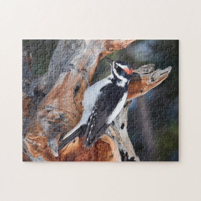 Puzzle "Woody Woodpecker" dans le Parc National des Roche (Horizontal)