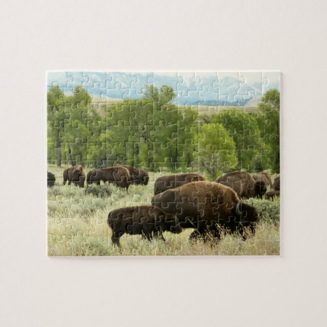 Puzzle Wyoming Bison Nature Animal Photographie (Horizontal)