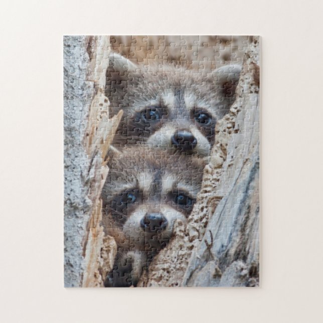 Puzzle Wyoming, Lincoln County, Raccoon (Vertical)