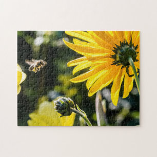 Puzzle Yellow Hardy Sunflower Meilleures photos de tourne