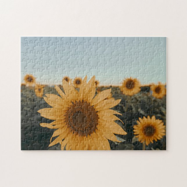 Puzzle Yellow Hardy Sunflower Meilleures photos de tourne (Horizontal)