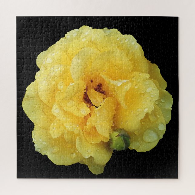 PUZZLE YELLOW ROSE  (Vertical)