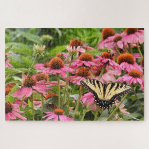 Puzzle Yellow Swallowtail Butterfly on Echinacea