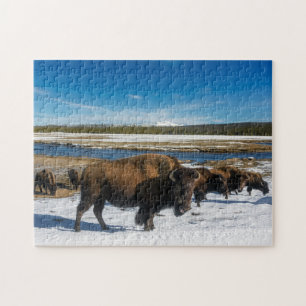 Puzzle Yellowstone Buffalo