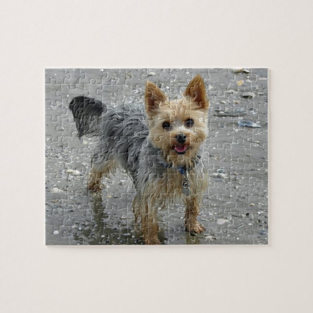 Puzzle Yorkie à la plage (Horizontal)
