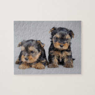 Puzzle Yorkies