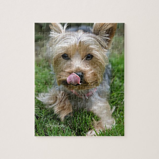 Puzzle Yorkshire Terrier Puppy - "jjhelene design" (Vertical)