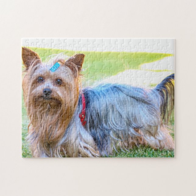 Puzzle Yorkshire Terrier Yorkie race Chien chiot (Horizontal)