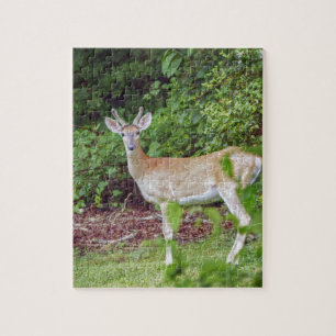 Puzzle Young Buck in Velvet