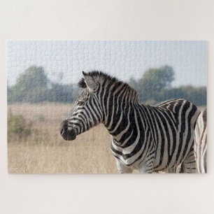 Puzzle Zebra au safari