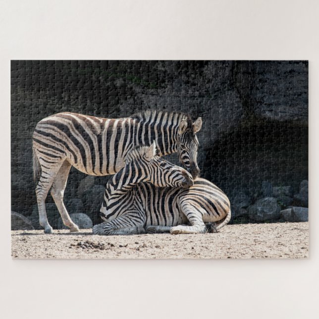 Puzzle Zèbre (Horizontal)
