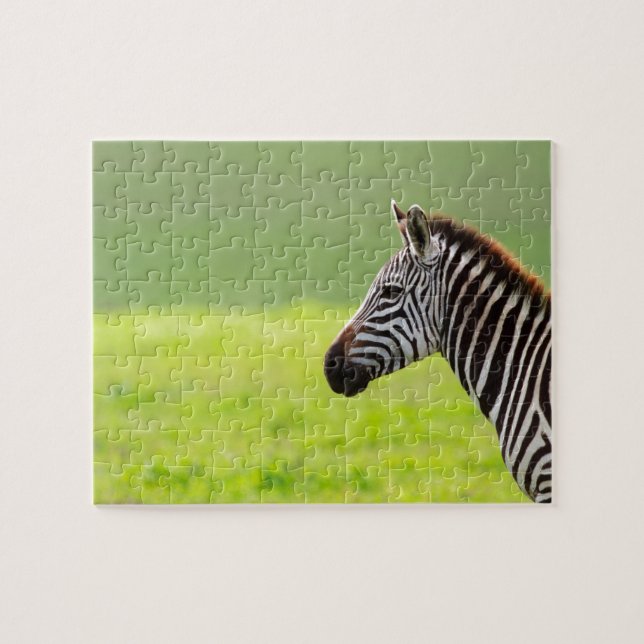 Puzzle Zèbre (Horizontal)