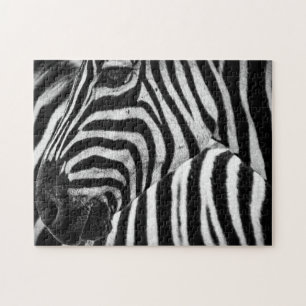 Puzzle Zèbre noir et blanc