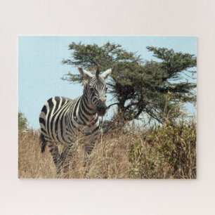 Puzzle zèbre sauvage