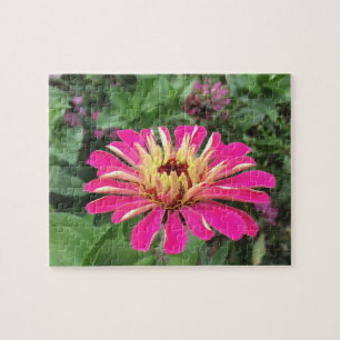 Puzzle ZINNIA - Vibrant Pink and Cream -