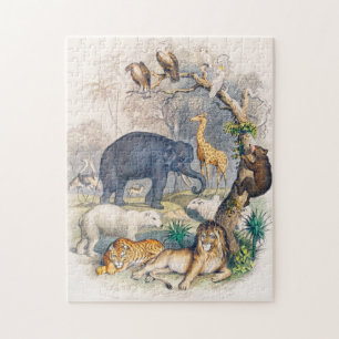 Puzzle zoo, animal, mignonne, animaux, nature, animaux sa