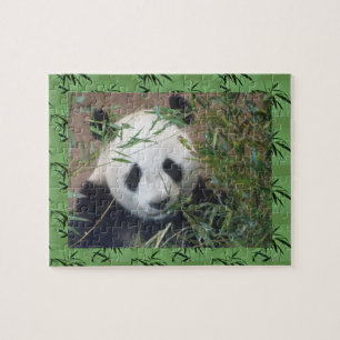 Puzzle Zoo :Cute Panda
