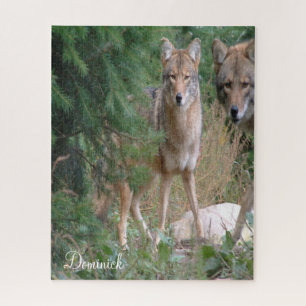 Puzzles Coyote